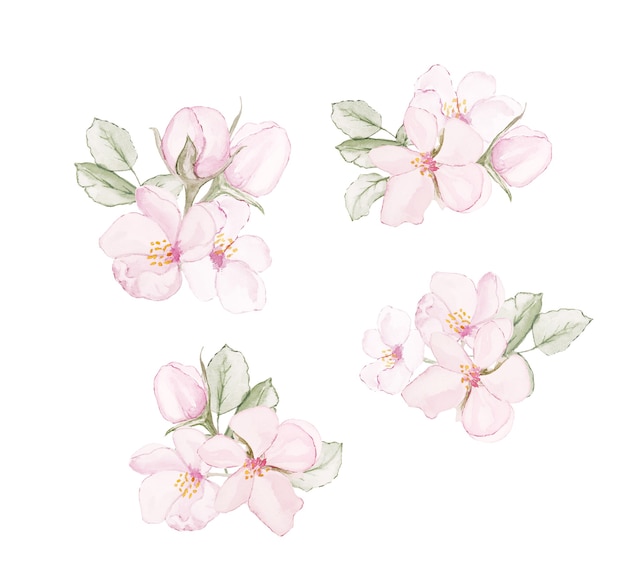 Isolated watercolor flowers cute hand drawn elements