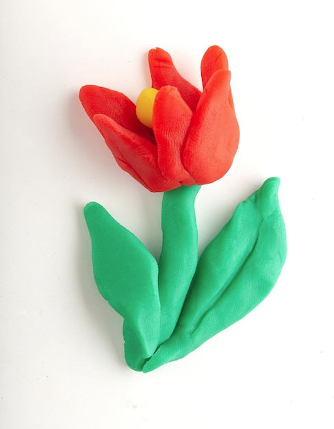 Isolted plasticine flowers