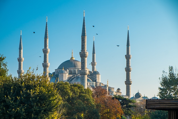 Istanbul Blue mosque