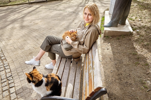 Istanbul stray cats receive attention and affection from tourists.