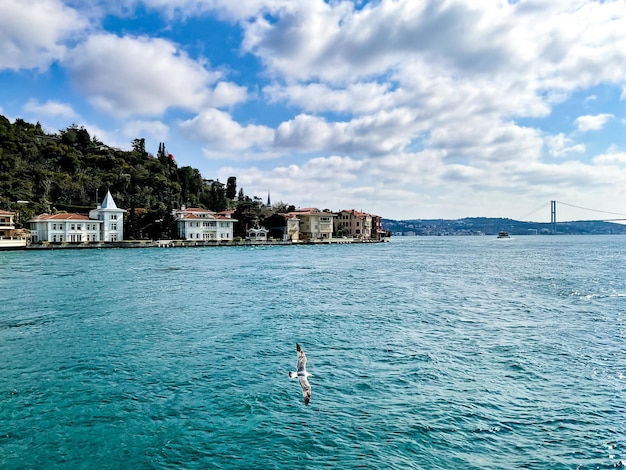 Istanbulturkey april 2023 landscape and seascape