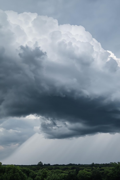 It's a reminder of nature's power and unpredictability as the sky darkens with thick storm clouds