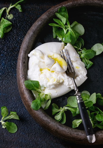 Italian cheese burrata