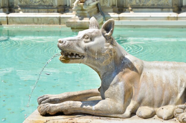 Italian fountain with stone wolf