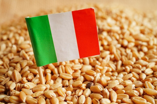 Italy on grain wheat trade export and economy concept