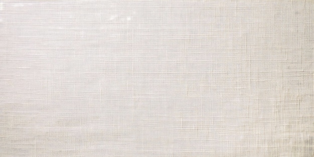 Ivory offwhite canvas with a gentle muted texture