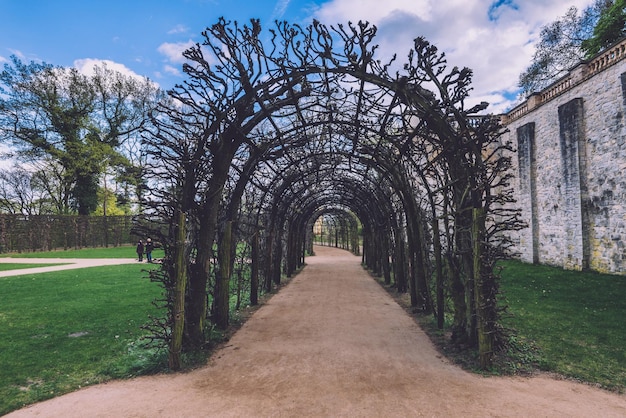 Ivy Archway on Belvedere Palace in Potsdam