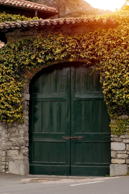 Ivycovered wooden gate in the Italian countryside Vintage gate Wooden gate Ivy leaves on the fac