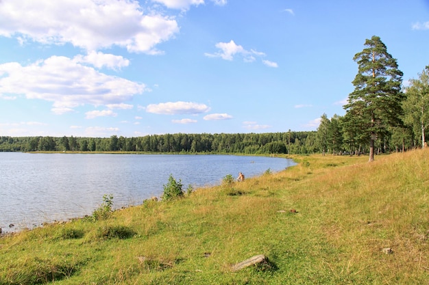 Izhbulat lake near Forest