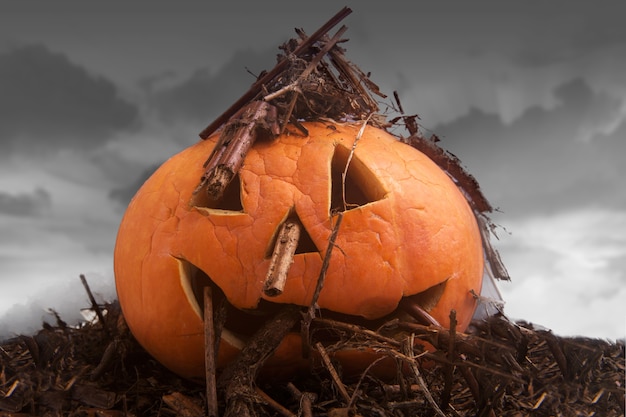 Jack-o-Lantern with a twig on the ground