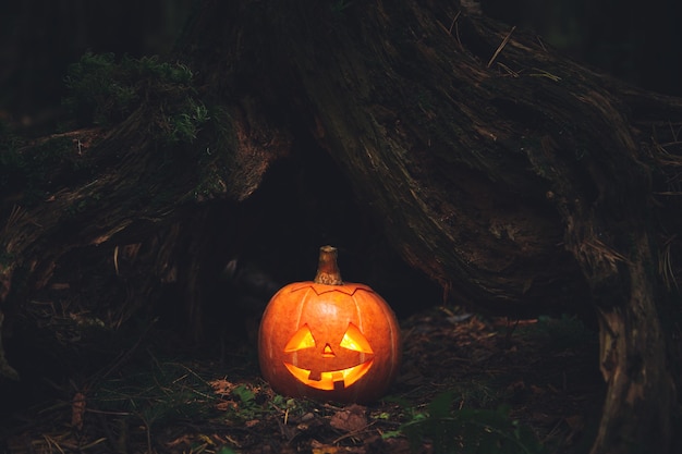 Jack's lantern in scary, mystical forest. Carved pumpkin. Halloween background.