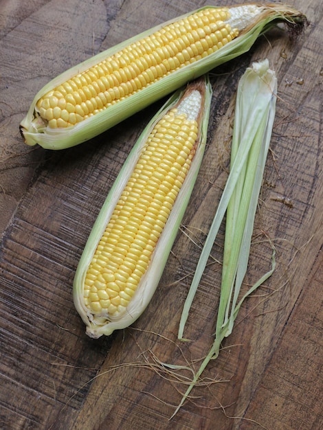 Jagung Manis Segar or fresh sweet corn on cobs on rustic wooden table