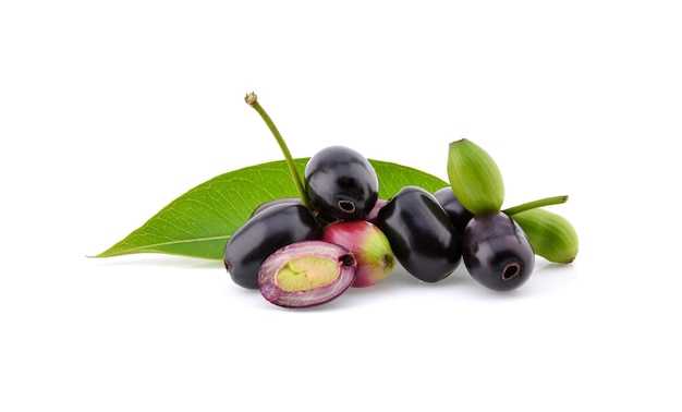 Jambolan plum or Java plum isolated on white background