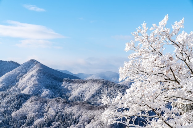 Japan landscape scenic view from godaido hall observation deck