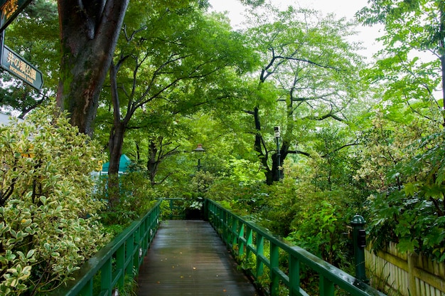 Japan Tokyo Mitaka Ghibli Museum greenery park trail