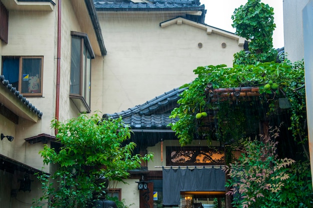 Japan Tokyo Sensoji Temple Kaminarimon shopping street alley Japanese restaurant