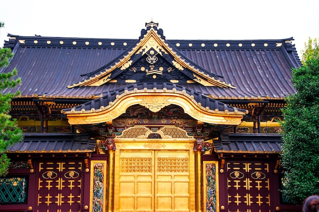 Japan tokyo ueno exquisite history architecture Toshogu Shrine