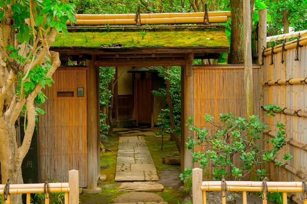 Japan Tokyo Ueno historic buildings famous tea ceremony grounds