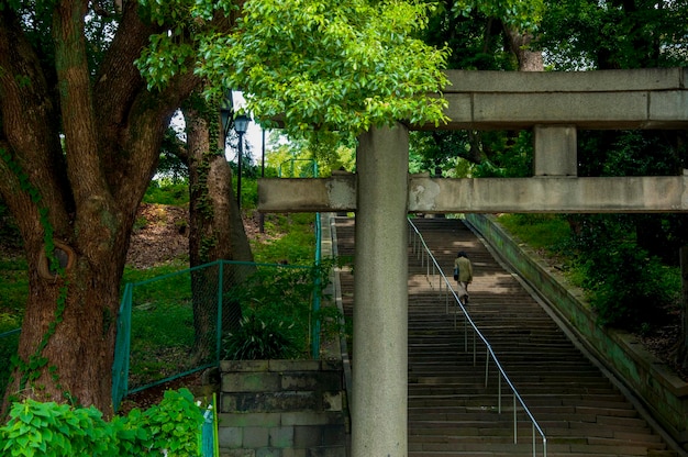 Japan Tokyo Ueno Park stairs torii gate