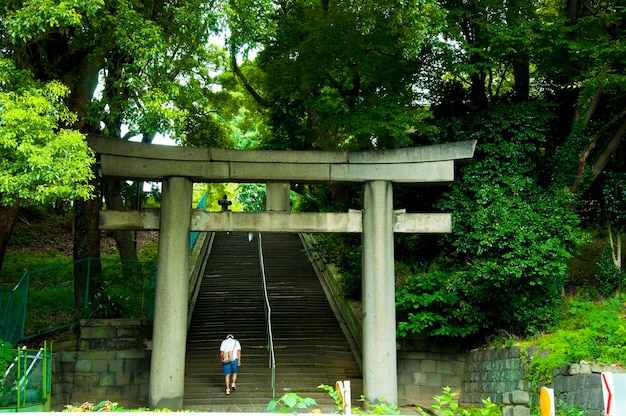 Japan Tokyo Ueno Park stairs torii gate