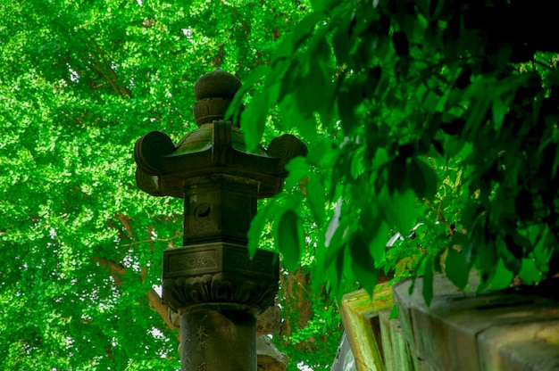 Japan Tokyo Ueno Toshogu Buddhism offering lamps stone lanterns