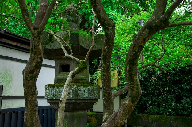 Japan Tokyo Ueno Toshogu Buddhism offering lamps stone lanterns