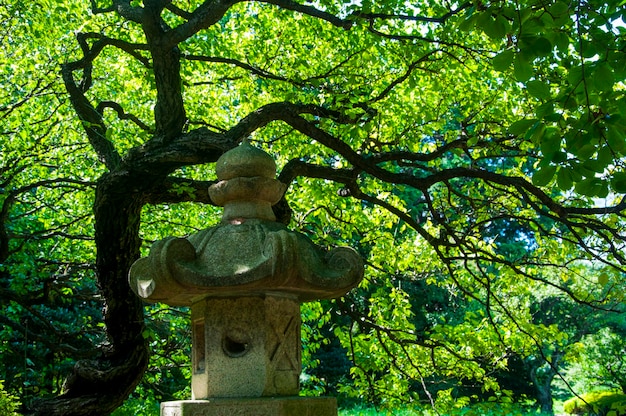 Japan Tokyo Ueno Toshogu Buddhism offering lamps stone lanterns