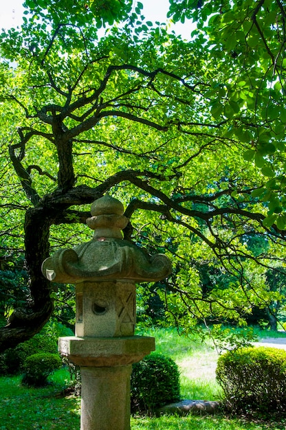 Japan Tokyo Ueno Toshogu Buddhism offering lamps stone lanterns