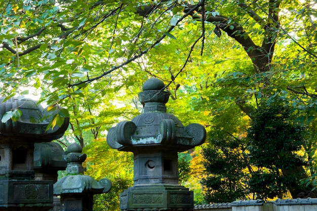 Japan Tokyo Ueno Toshogu Buddhism offering lamps stone lanterns