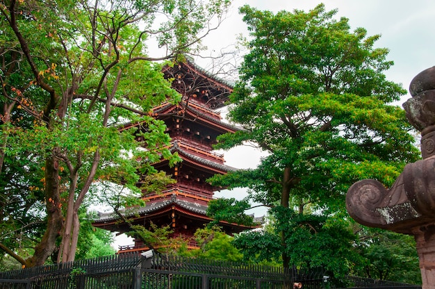 Japan Tokyo Ueno Toshogu famous landmark Kaneiji Temple fivestory pagoda