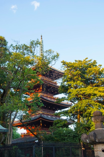 Japan Tokyo Ueno Toshogu famous landmark Kaneiji Temple fivestory pagoda