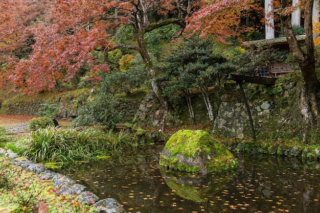 Japanese garden in autumn