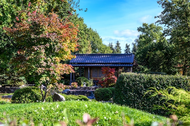 Japanese Garden botanical park in early autumn Sunny Autumn Day