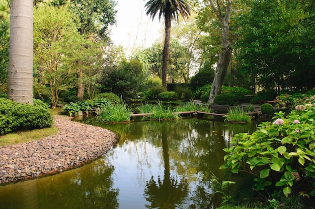 Japanese garden lake in Montevideo Uruguay