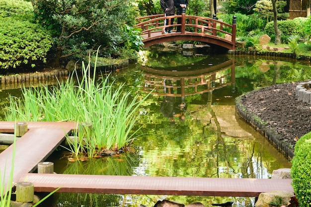 Japanese garden lake in Montevideo Uruguay