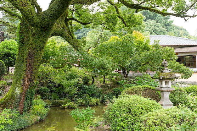 Japanese garden