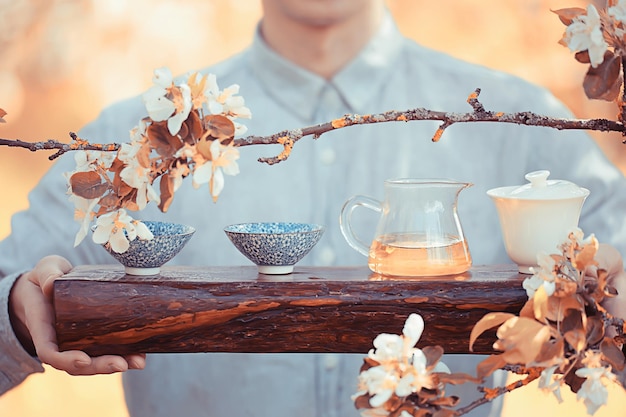 japanese tea ceremony in the spring garden, aroma cherry blossom sakura in asia