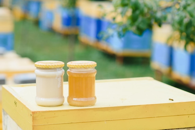 Jar of fresh honey in a glass jar Beekeeping concept Top view Copy space