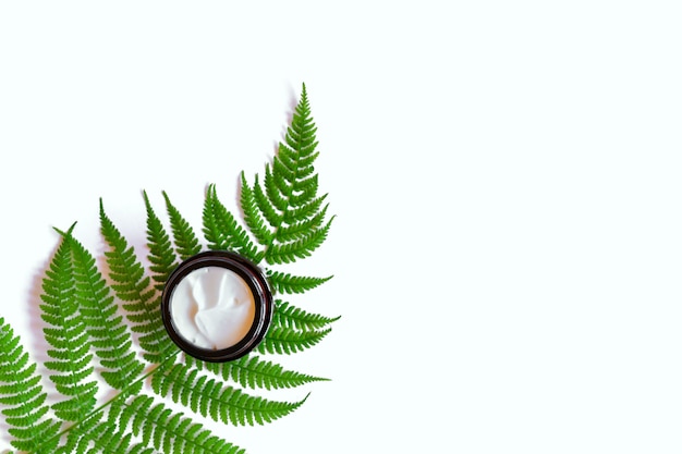 Jar of natural organic face cream on fern leaves. Copy space for your cosmetics brand design.