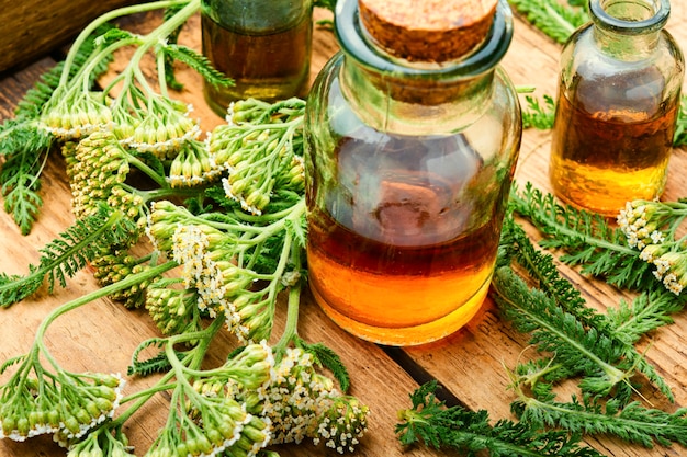 Jar of yarrow tincture.Medicine made from medicinal herbs.Herbalism and herbal medicine.