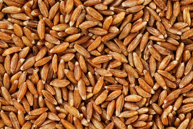 Jasmine brown rice closeup. Organic grain texture