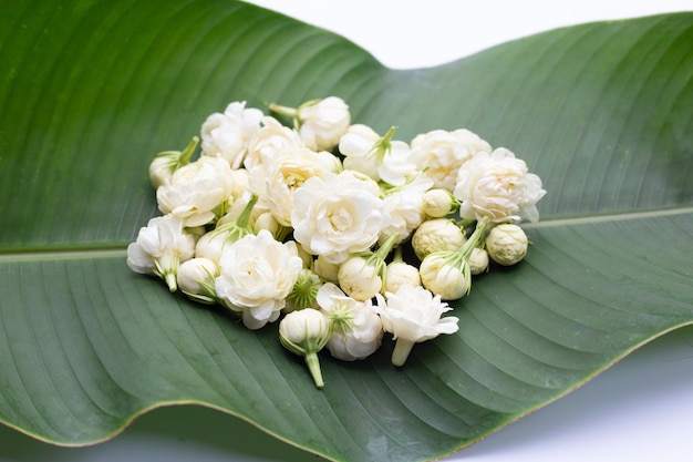 Jasmine flower on banana leaf