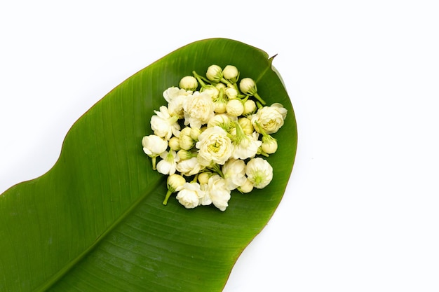 Jasmine flower on banana leaf