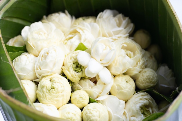 Jasmine flower i banana leaves