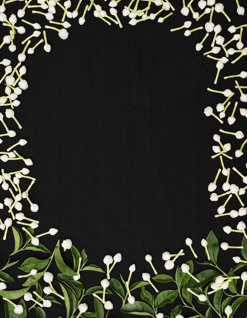 jasmine flower and tea leaf frame on black background