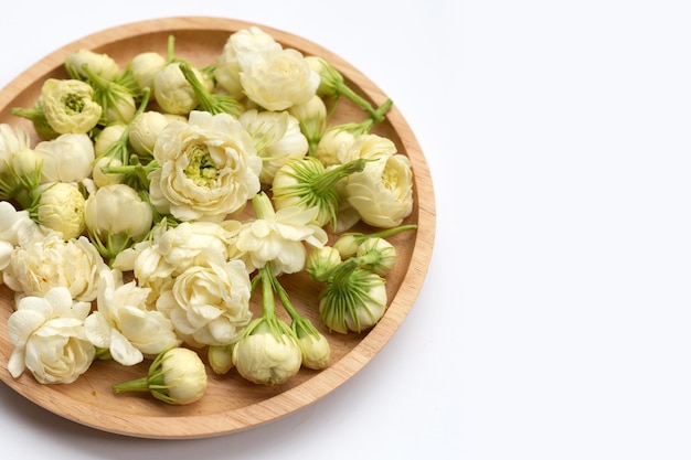 Jasmine flower on white background