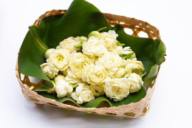 Jasmine flower on white background