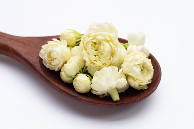 Jasmine flower on white background