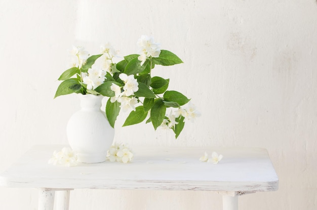 jasmine flowers in ceramic vase on white background