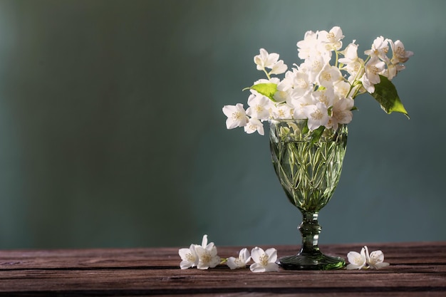 Jasmine flowers in glass vase on green background